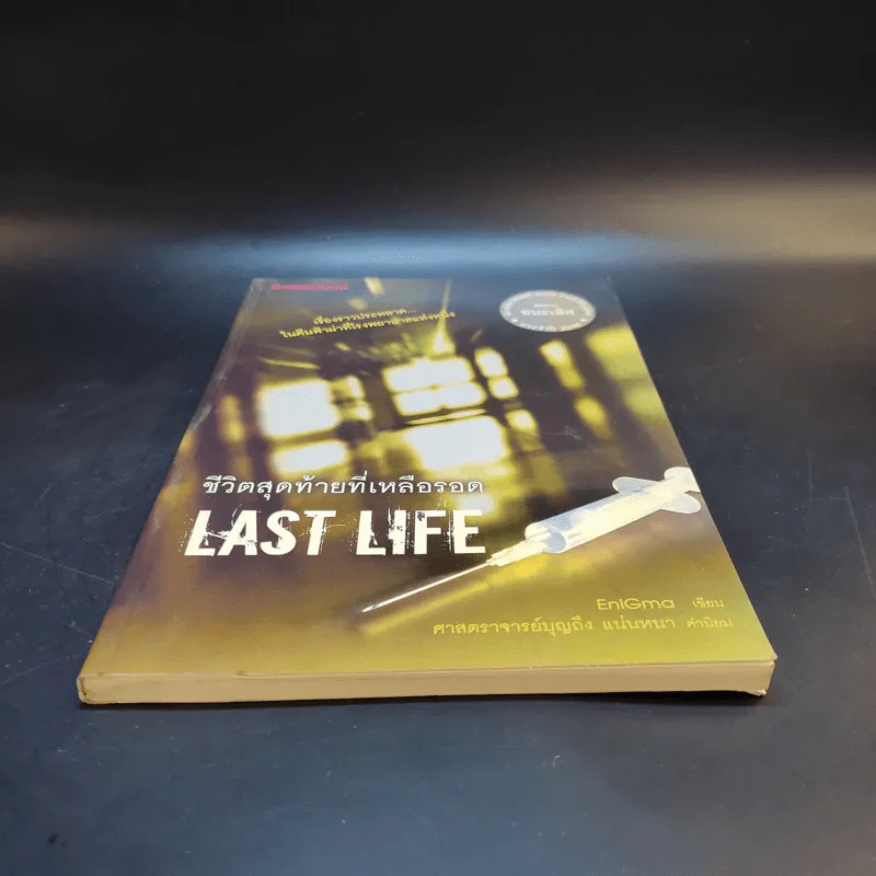 ชีวิตสุดท้ายที่เหลือรอด Last Life - EniGmo รูปที่ 4