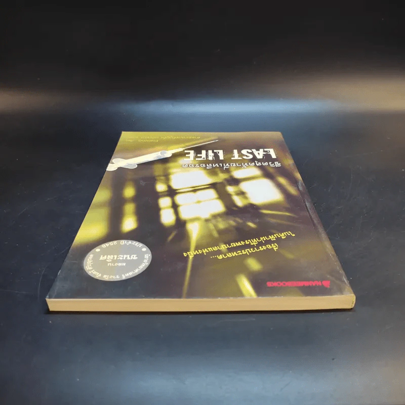 ชีวิตสุดท้ายที่เหลือรอด Last Life - EniGmo รูปที่ 5