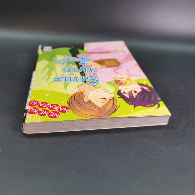 การ์ตูนวาย รักนะ นายจ้ำม่ำ - Neneko Narazaki รูปที่ 4