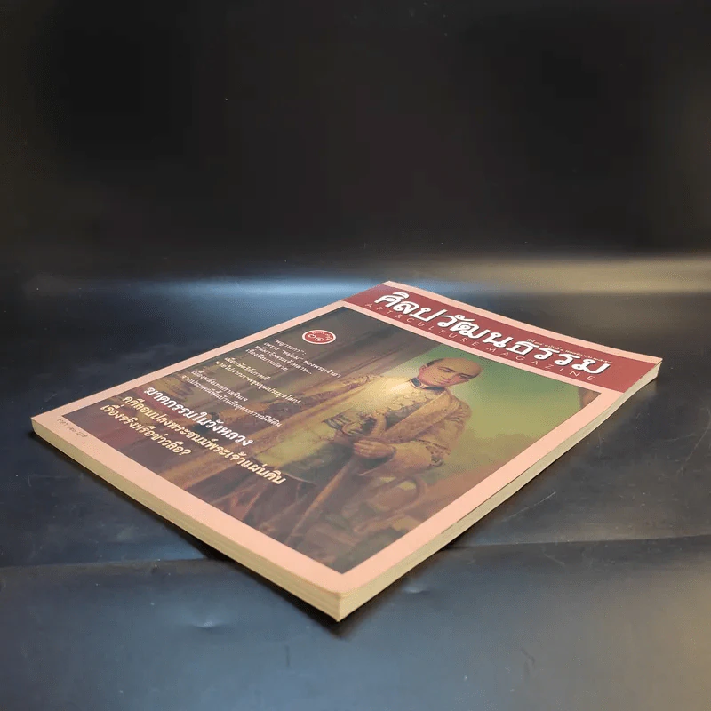 ศิลปวัฒนธรรม ปีที่ 34 ฉบับที่ 1 พ.ย.2555 รูปที่ 7