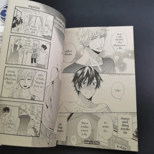 การ์ตูนวาย ไอดินกลิ่นรัก ณ ท้องทุ่ง - Noriko Hakutou รูปที่ 11