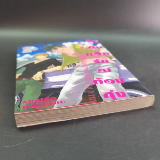 การ์ตูนวาย ไอดินกลิ่นรัก ณ ท้องทุ่ง - Noriko Hakutou รูปที่ 6