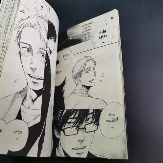 การ์ตูนวาย บล็อกเกอร์หน้าตายกับนายนักเขียน - Tsuta Suzuki รูปที่ 8