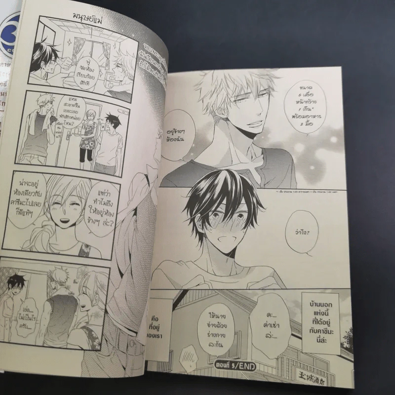การ์ตูนวาย ไอดินกลิ่นรัก ณ ท้องทุ่ง - Noriko Hakutou รูปที่ 11