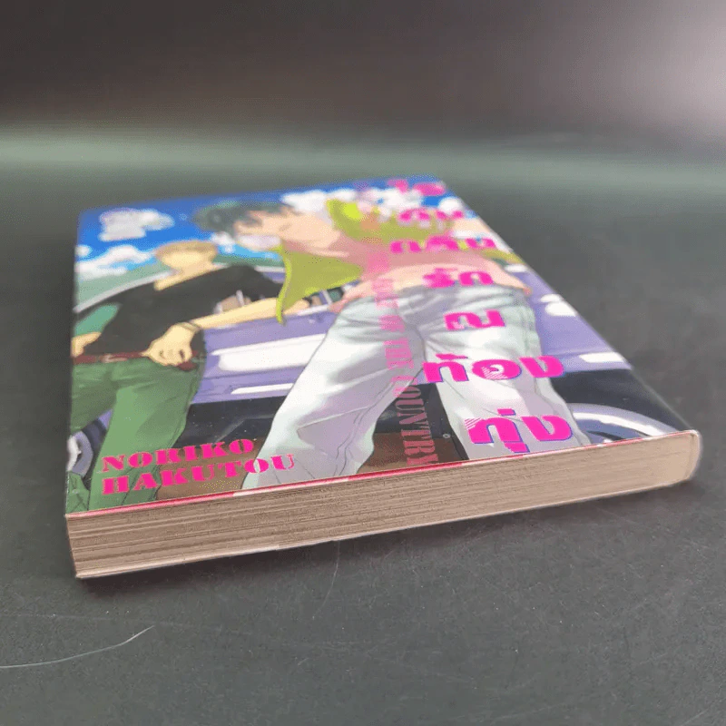 การ์ตูนวาย ไอดินกลิ่นรัก ณ ท้องทุ่ง - Noriko Hakutou รูปที่ 6