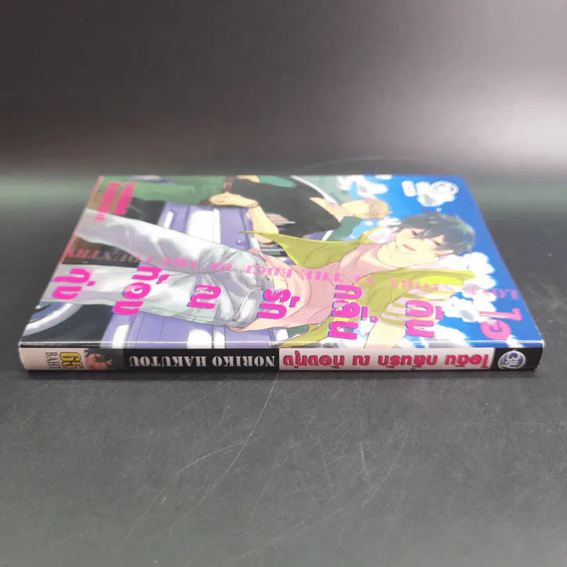 การ์ตูนวาย ไอดินกลิ่นรัก ณ ท้องทุ่ง - Noriko Hakutou รูปที่ 3