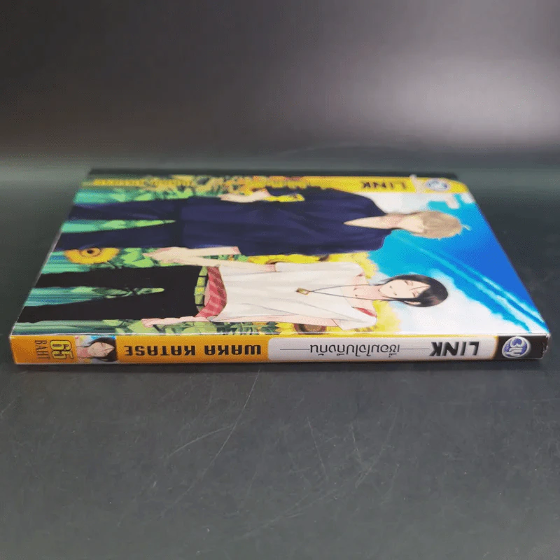 การ์ตูนวาย เชื่อมใจไปถึงกัน - Waka Katase รูปที่ 3