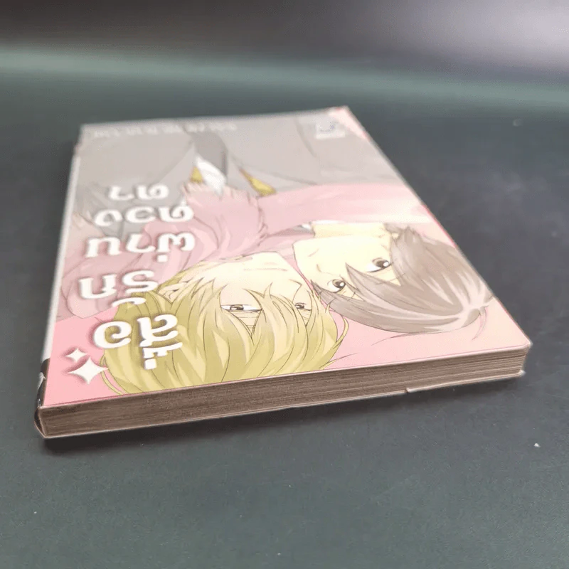 การ์ตูนวาย สื่อรักผ่านดวงตา - Sachi Murakami รูปที่ 4