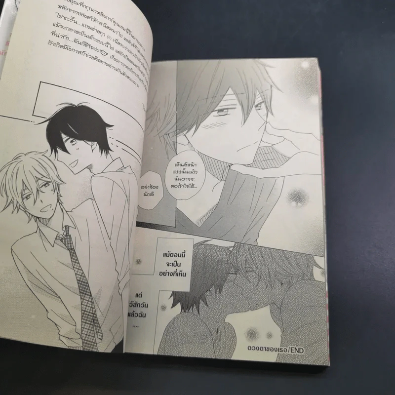การ์ตูนวาย สื่อรักผ่านดวงตา - Sachi Murakami รูปที่ 10