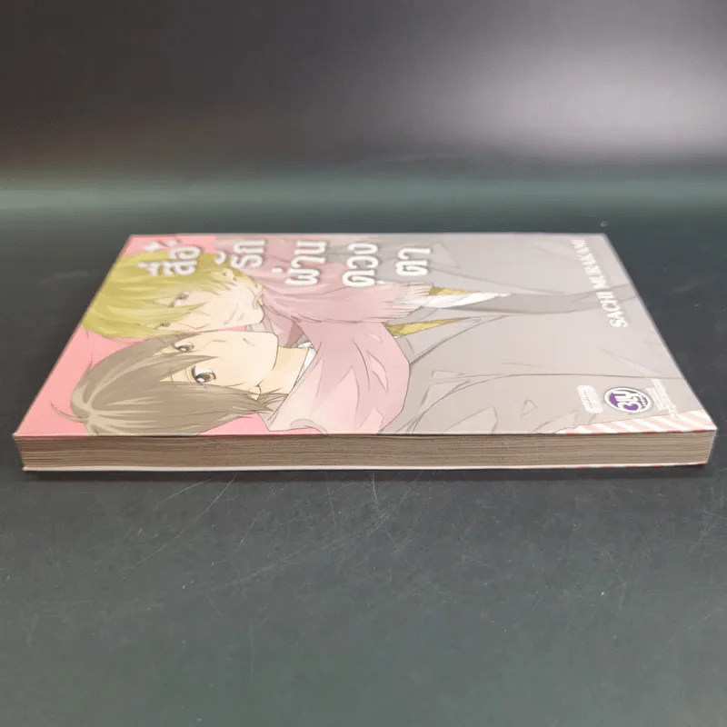 การ์ตูนวาย สื่อรักผ่านดวงตา - Sachi Murakami รูปที่ 5