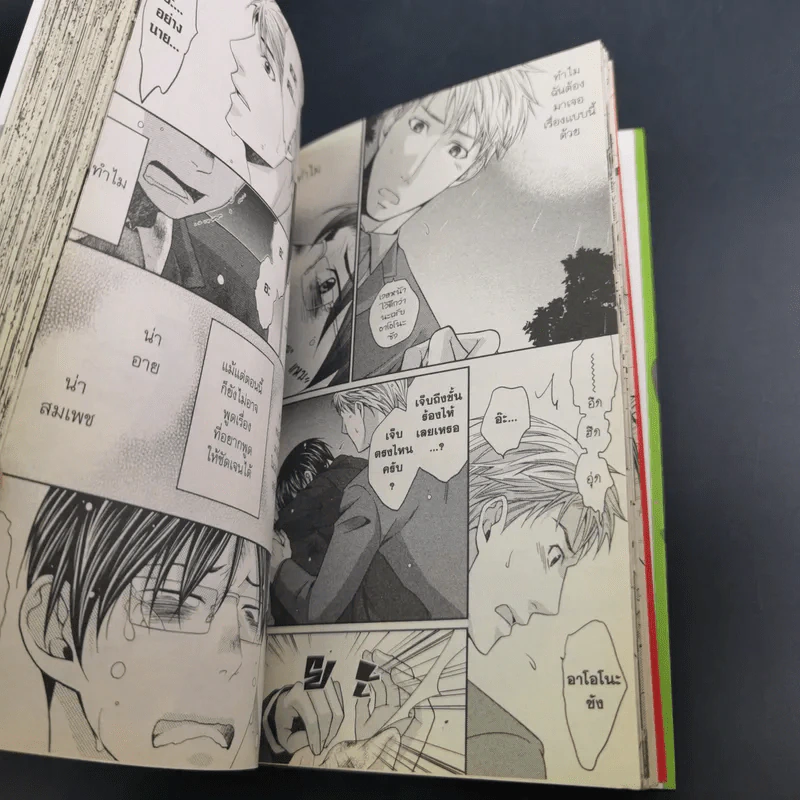 การ์ตูนวาย เจ้าชายของนายกบ - Panco รูปที่ 9