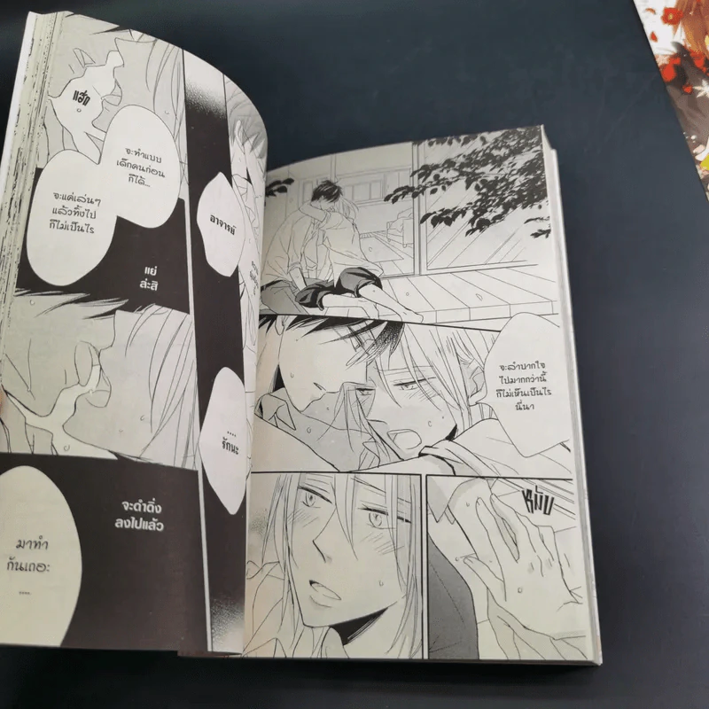 การ์ตูนวาย รักต้องห้ามมีหรือจะห้ามใจรัก - Shihan Ichinomiya รูปที่ 10