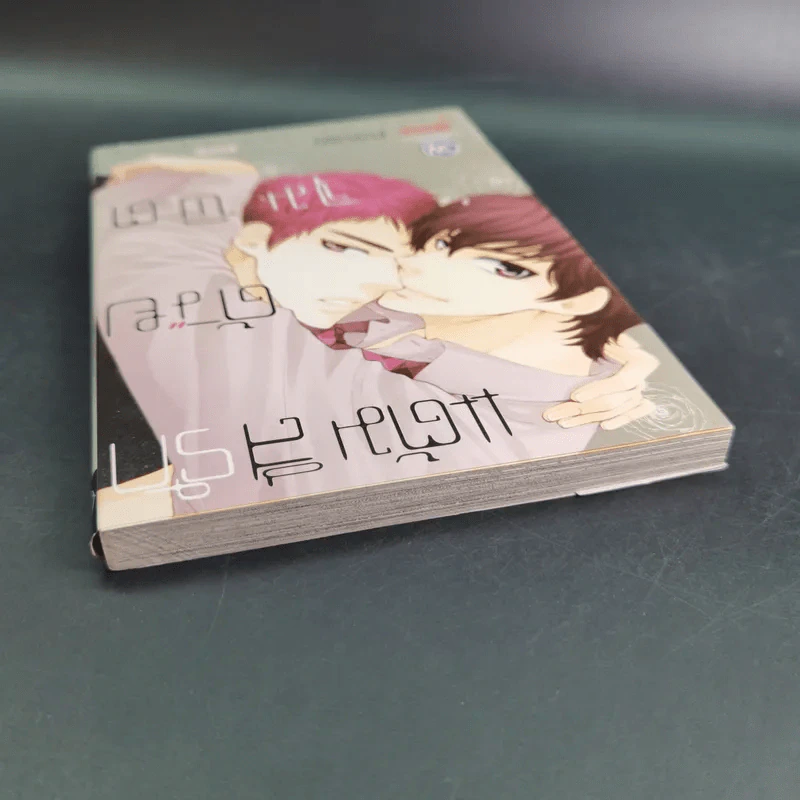 การ์ตูนวาย แต้มสีรักด้วยจุมพิต - Ikuya Fuyuno รูปที่ 5