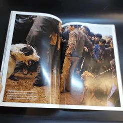 National Geographic ฉบับที่ 101 ธ.ค.2552 จากศรัทธาสู่การค้าพุทธศิลป์ รูปที่ 11