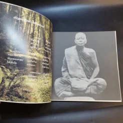 มณีรัตน์ อัญมณีแห่งไพรสณฑ์ หลวงปู่ครูบาอาจารย์เฒ่าทองรัตน์ กนฺตสีโล รูปที่ 9