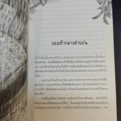 รองเท้ากลางสายฝน - แพรพลอย รูปที่ 13