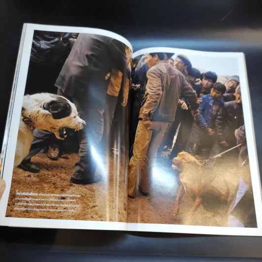 National Geographic ฉบับที่ 101 ธ.ค.2552 จากศรัทธาสู่การค้าพุทธศิลป์ รูปที่ 11