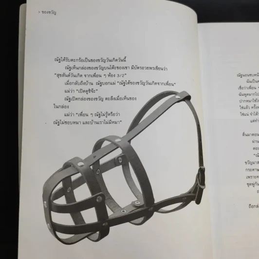 วันแรกของวันที่เหลือ - วินทร์ เลียววาริณ รูปที่ 13