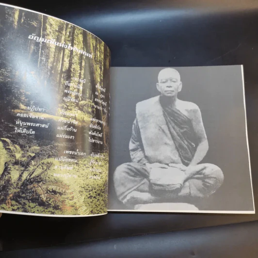 มณีรัตน์ อัญมณีแห่งไพรสณฑ์ หลวงปู่ครูบาอาจารย์เฒ่าทองรัตน์ กนฺตสีโล รูปที่ 9
