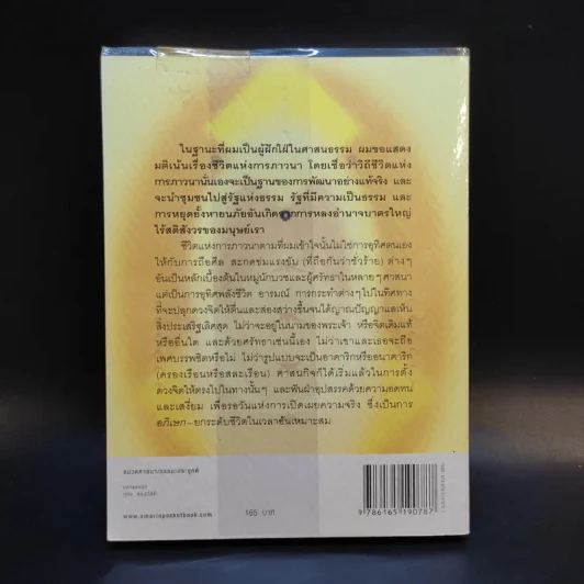จิตสถาปนา ธรรมสถาปนา - เขมานันทะ รูปที่ 2