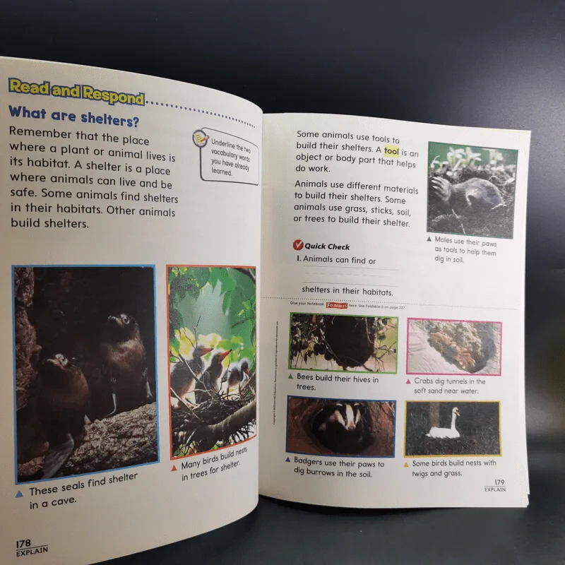 Science a Closer Look ขายรวม 5 เล่ม รูปที่ 11
