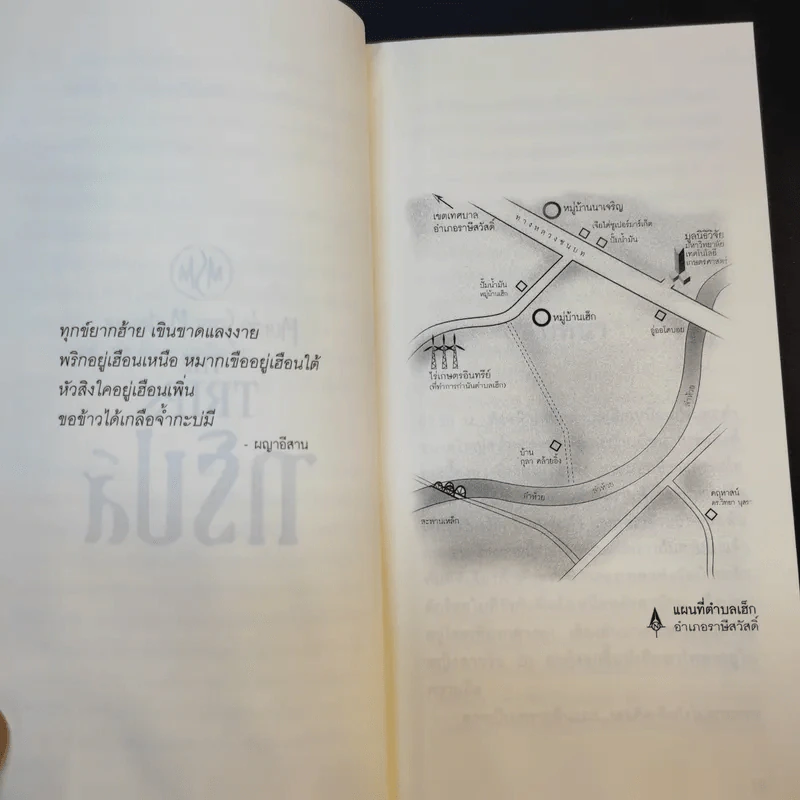 The Trips ทริปส์ - วิสิทธิ์ โพธิวัฒน์ รูปที่ 11