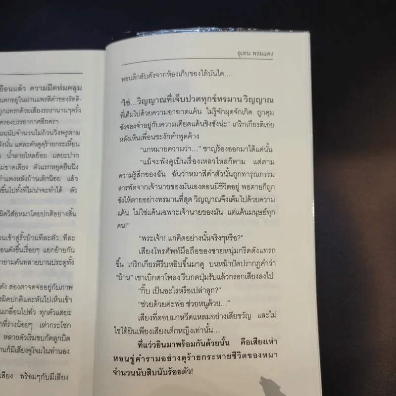 Howl in the Dark Room เสียงหอนในห้องมืด - อุเทน พรมแดง รูปที่ 10