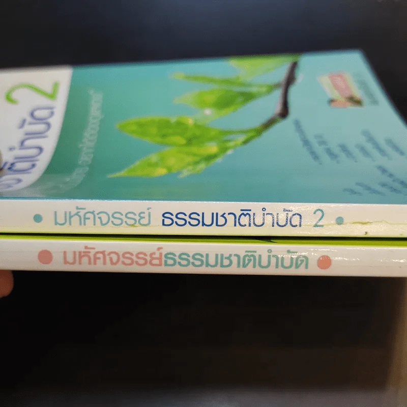 มหัศจรรย์ธรรมชาติบำบัด เล่ม 1-2 - วีระชัย วาสิกดิลก (หมอแดง) รูปที่ 9