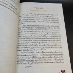 วรรณคดีวิจักษ์ ชั้นมัธยมศึกษาปีที่ 5 รูปที่ 13