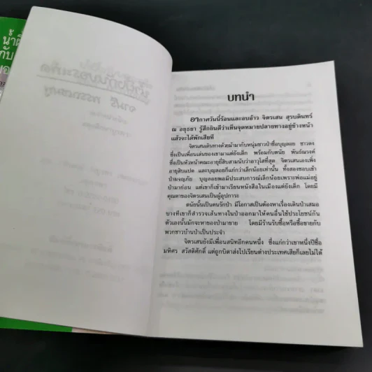 น้ำผึ้งกับบอระเพ็ด - จามรี พรรณชมพู รูปที่ 8