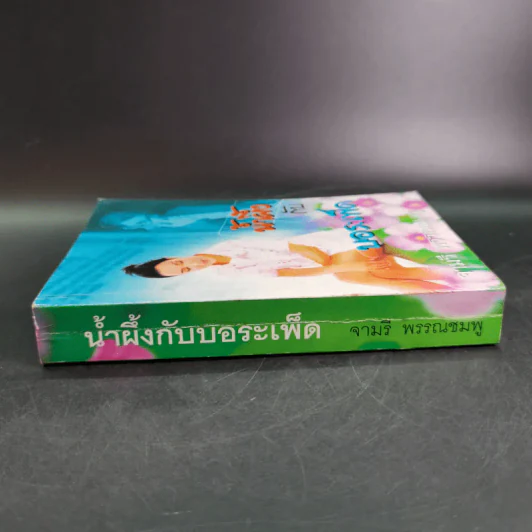 น้ำผึ้งกับบอระเพ็ด - จามรี พรรณชมพู รูปที่ 3