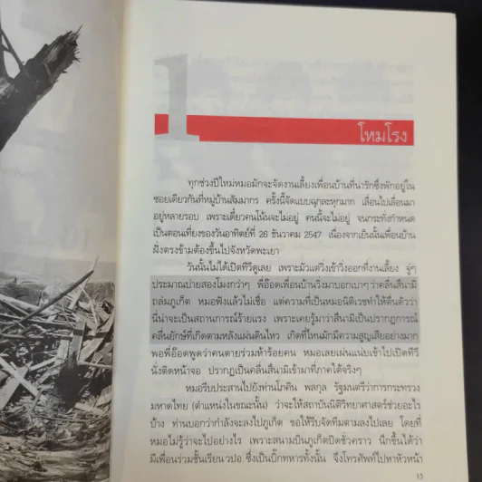 บันทึกสึนามิ - แพทย์หญิง คุณหญิงพรทิพย์ โรจนสุนันท์ รูปที่ 12