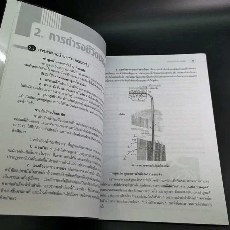 หน่วยของสิ่งมีชีวิต ชั้นมัธยมศึกษาตอนต้น รูปที่ 13