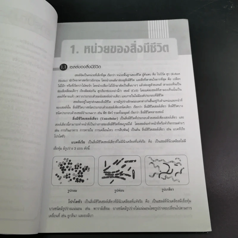 หน่วยของสิ่งมีชีวิต ชั้นมัธยมศึกษาตอนต้น รูปที่ 12