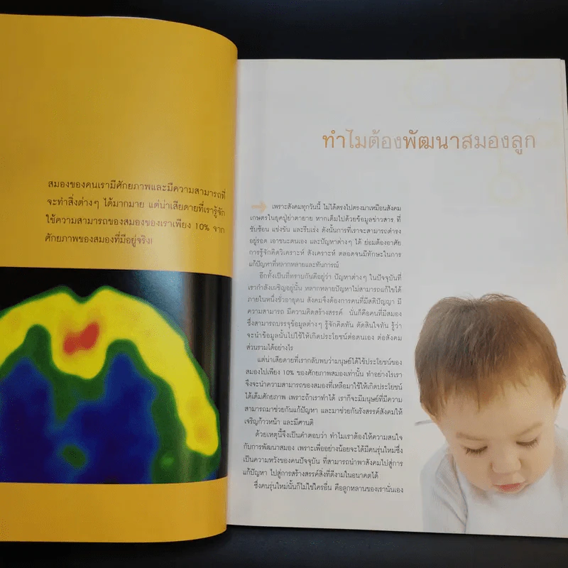 คู่มือพัฒนาสมองลูกด้วยสองมือพ่อแม่ Brain Development รูปที่ 11