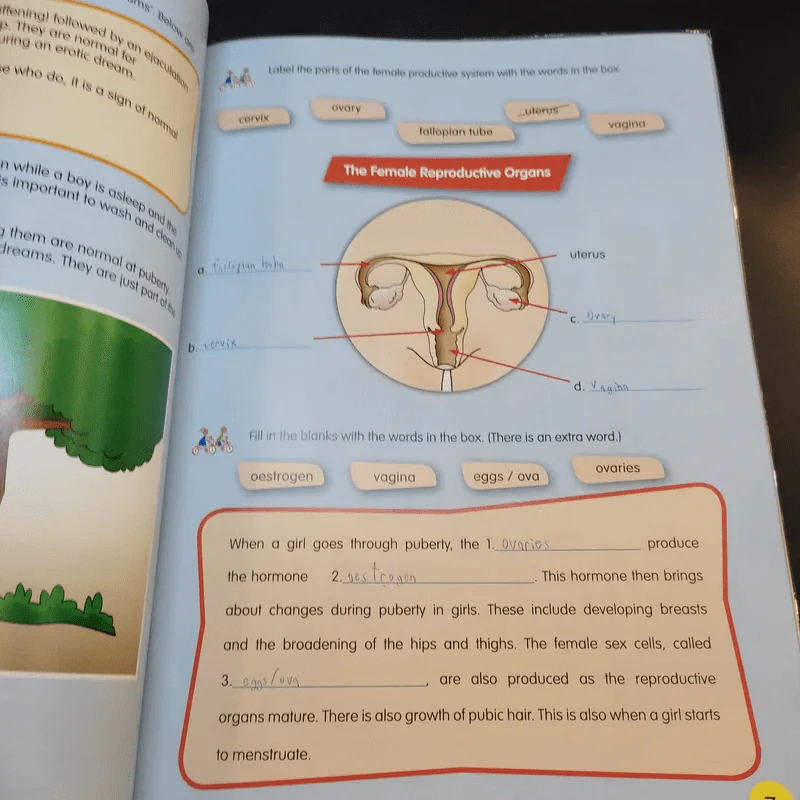 Health Education Grade 6 รูปที่ 12