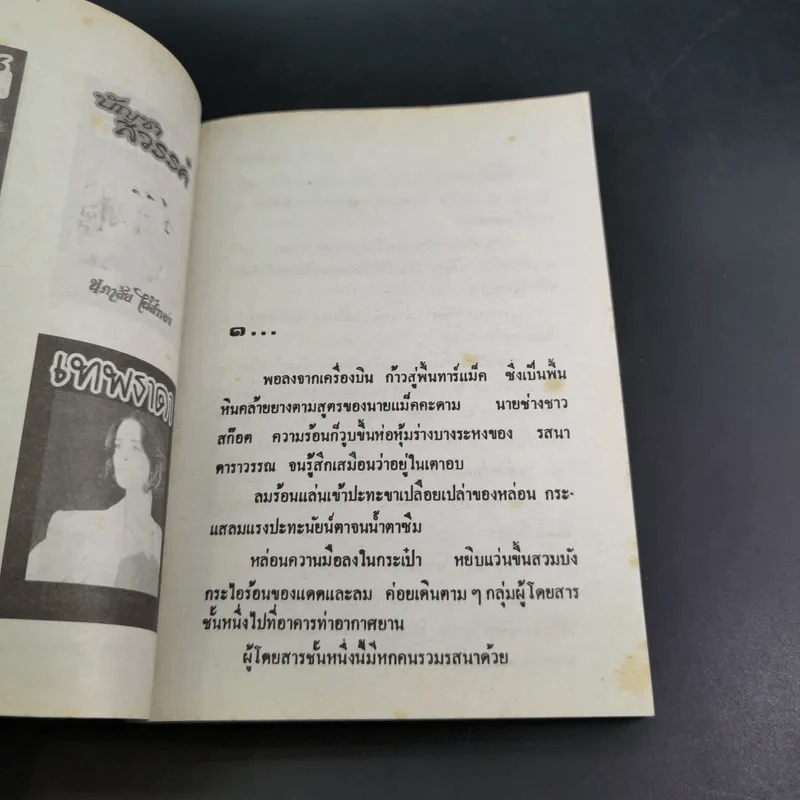 เมียบังเงา - จามรี พรรณชมพู รูปที่ 8