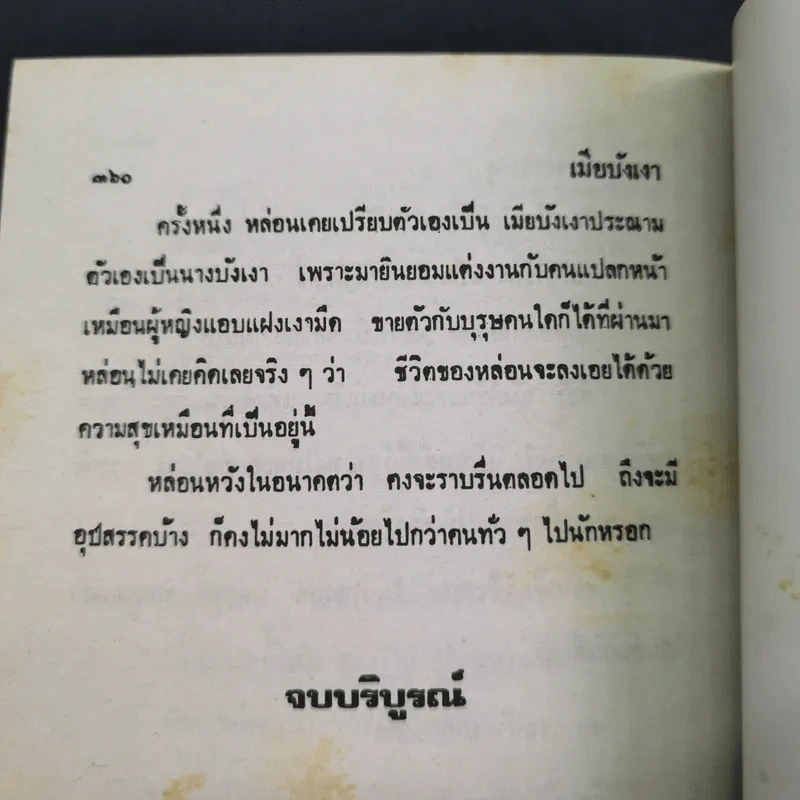 เมียบังเงา - จามรี พรรณชมพู รูปที่ 11