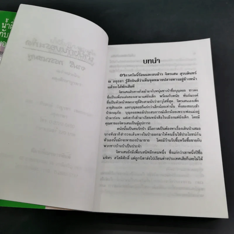 น้ำผึ้งกับบอระเพ็ด - จามรี พรรณชมพู รูปที่ 8