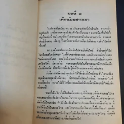 แสงโสม - ลมุล รัตตากร รูปที่ 12