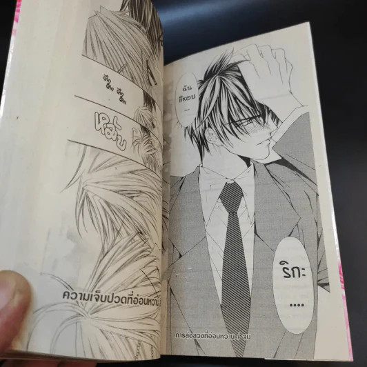 มาเฟียที่รัก 9 เล่มจบ - Shinjo Mayu รูปที่ 17