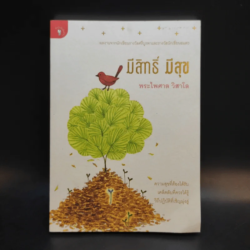 มีสิทธิ์ มีสุข - พระไพศาล วิสาโล รูปที่ 1