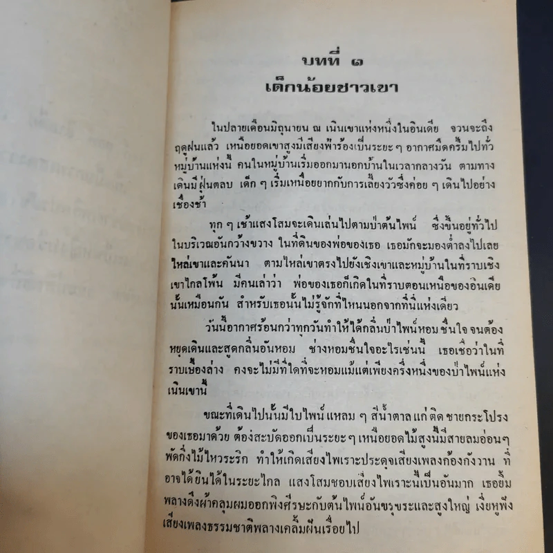 แสงโสม - ลมุล รัตตากร รูปที่ 12
