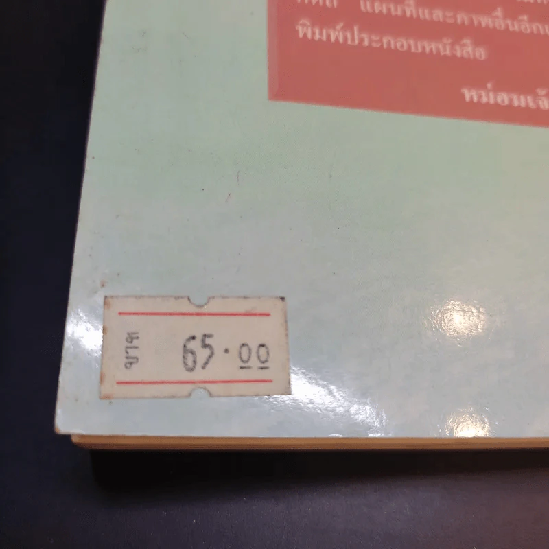 ตามเสด็จปากีสถาน - หม่อมเจ้าวิภาวดี รังสิต รูปที่ 12