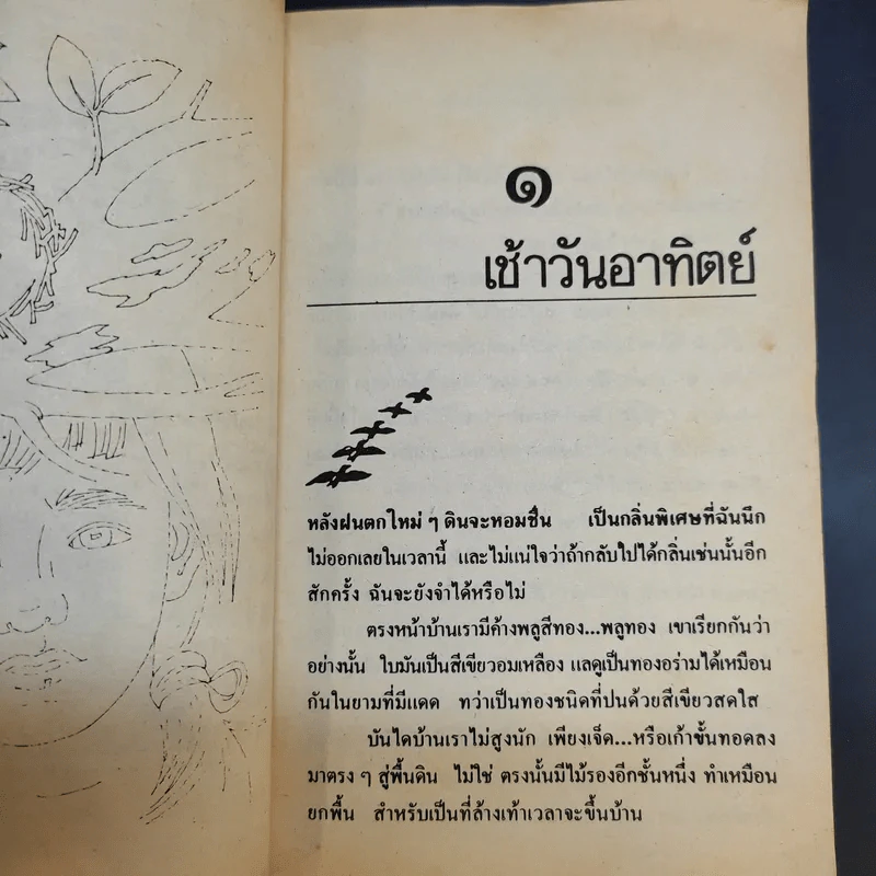รวมเรื่องสั้น สวนสัตว์ - สุวรรณี สุคนธา รูปที่ 11