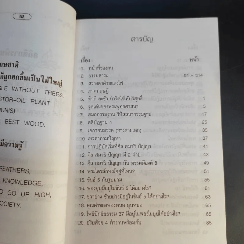 ทางสายเอก ฉบับปรับปรุง Path to Nibbana รูปที่ 13