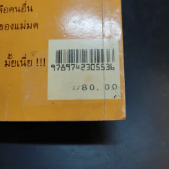 แม่มดน้อย - อ็อตฟรีด พรอยสเล่อร์ รูปที่ 15