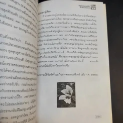 บันทึกจากเกาหลีใต้ - ประพนธ์ เรืองณรงค์ รูปที่ 11