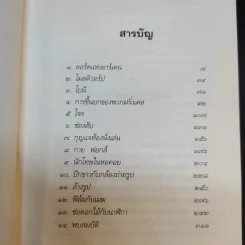 ย้อนเวลาหาสมบัติ - อี. เนสบิต รูปที่ 8