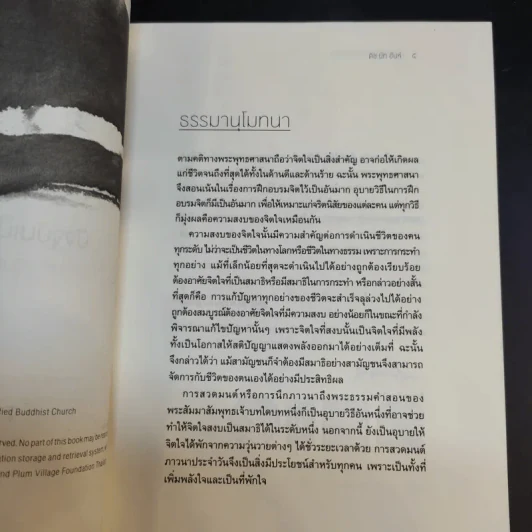 ปัจจุบันเป็นเวลาประเสริฐสุด - ติช นัท ฮันห์ รูปที่ 10